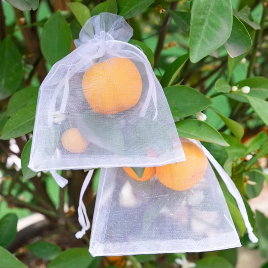 Saquinhos para proteção de frutas